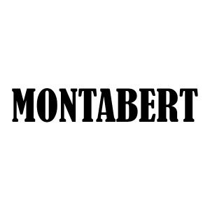PUNTEROS MONTABERT