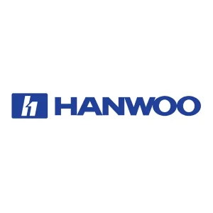 PUNTEROS HANWOO